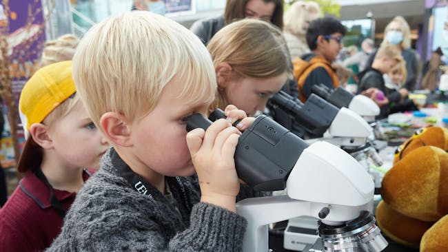A line of children looking into microscopes at Norwich Science Festival