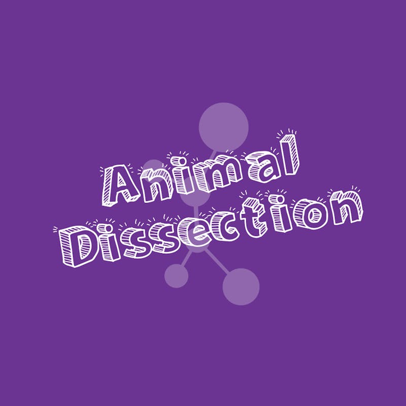 fetal-pig-dissection