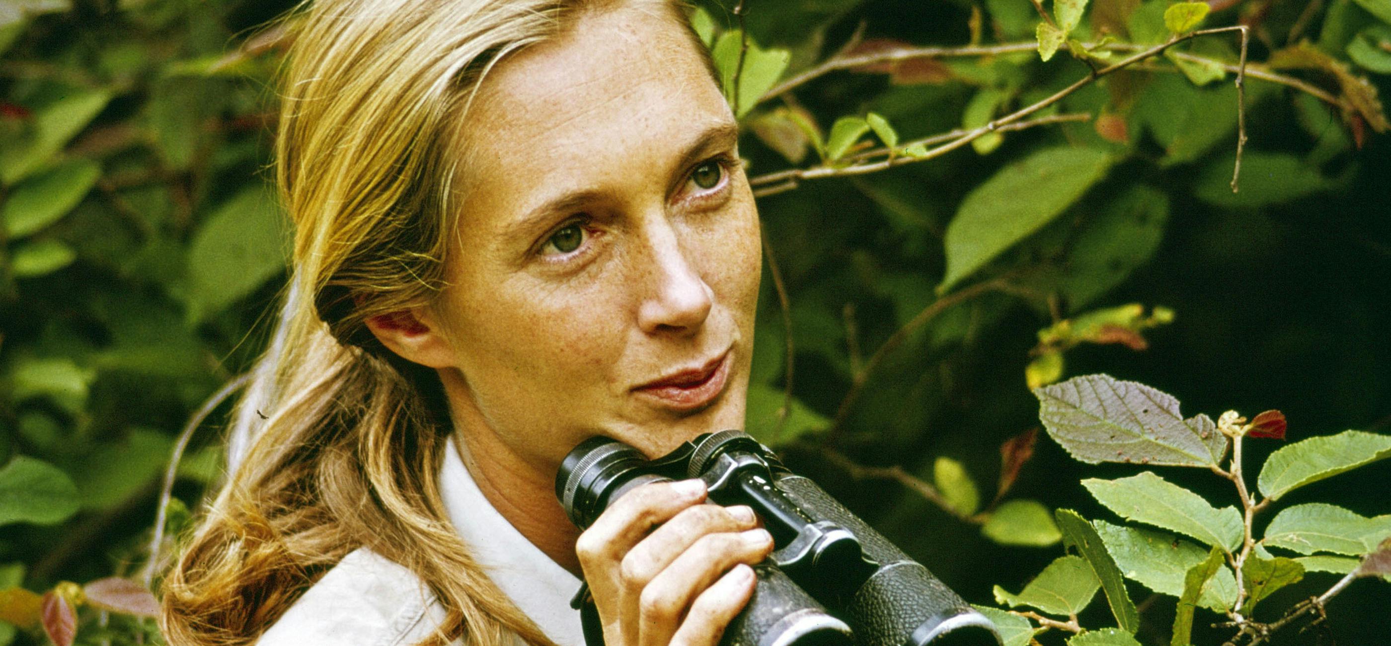 Jane Goodall - credit Jane Goodall Institute