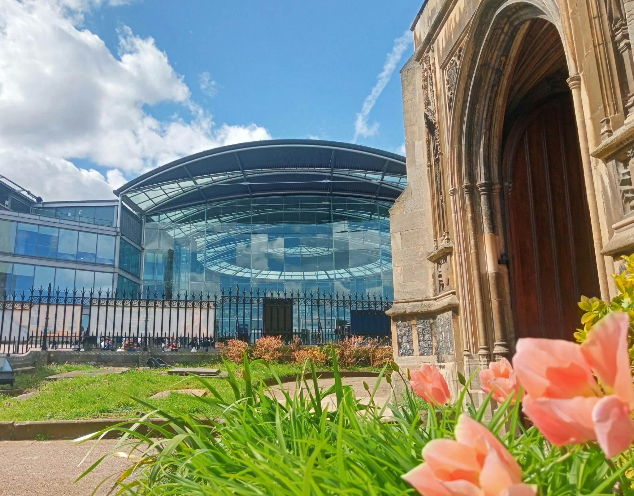 Image of The Forum, with pink tulips in the foreground