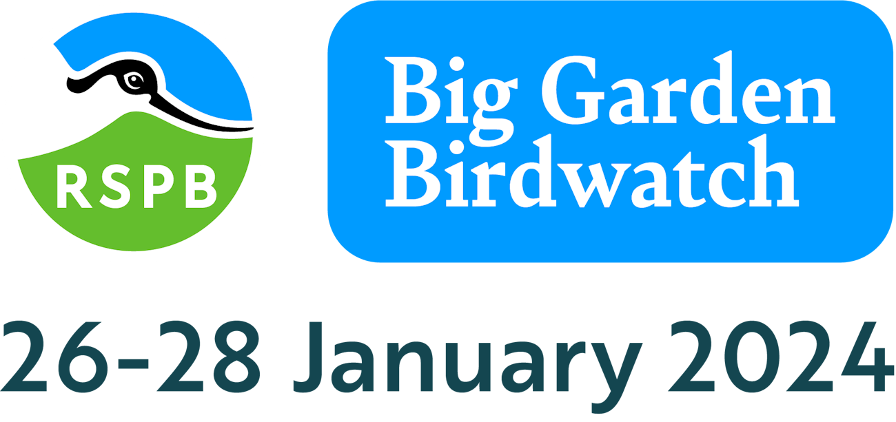Discover Big Garden Birdwatch with the RSPB // The Forum Norwich
