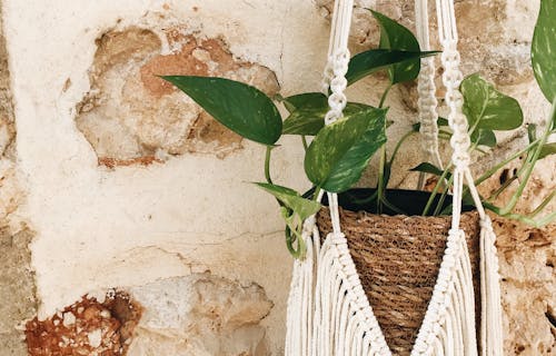 Macramé plant holder