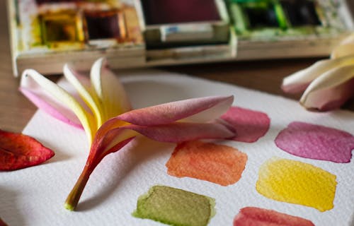 Flower petal on watercolour paper