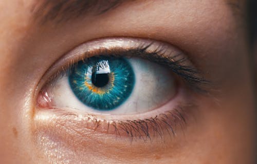 A close-up of a woman's mesmerizing blue eyes