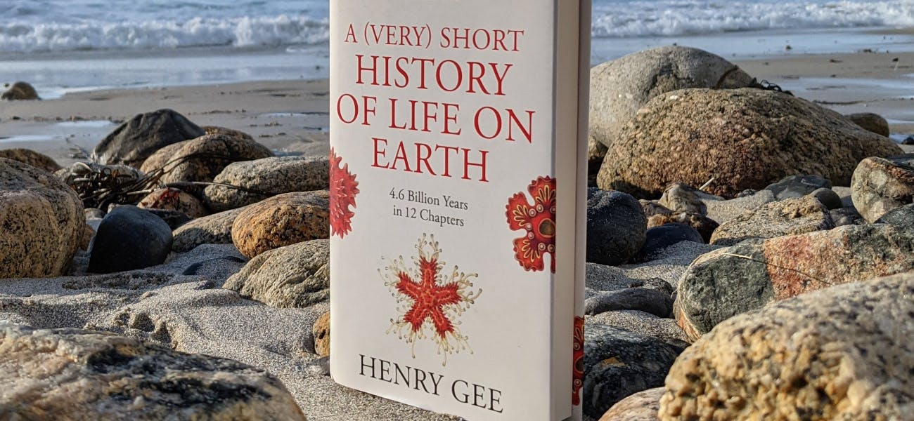 A book standing upright on the beach surrounded by rocks