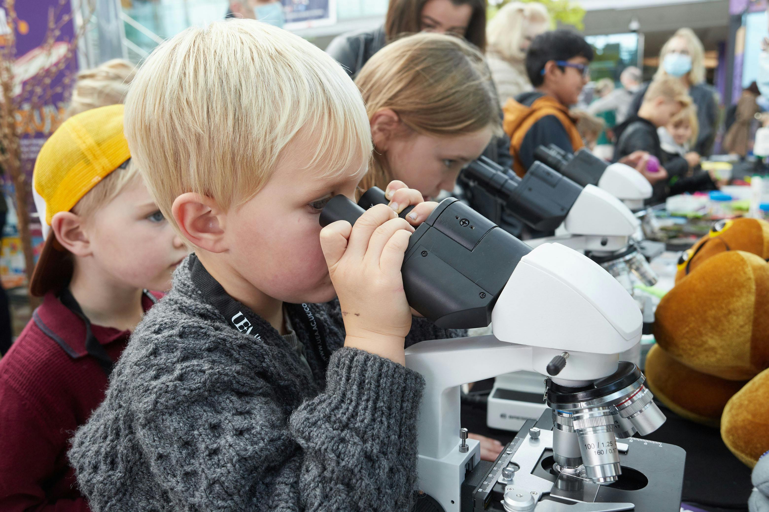A line of children looking into microscopes at Norwich Science Festival