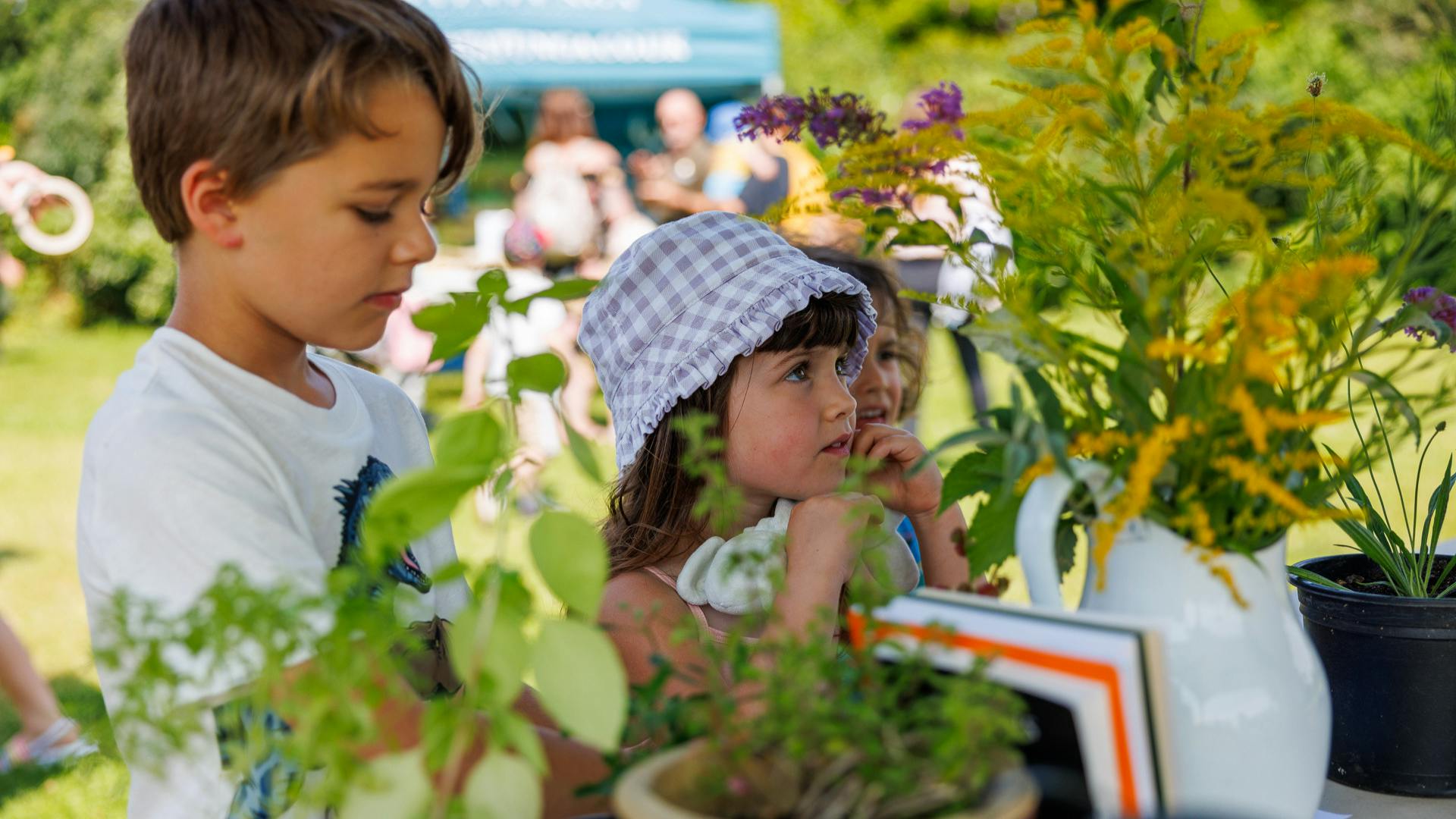 Three children looking at wild flowers at Bugs & Beasts 2024