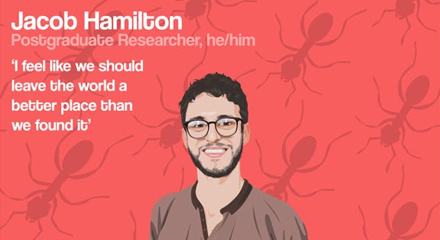 Graphic of Jacob Hamilton