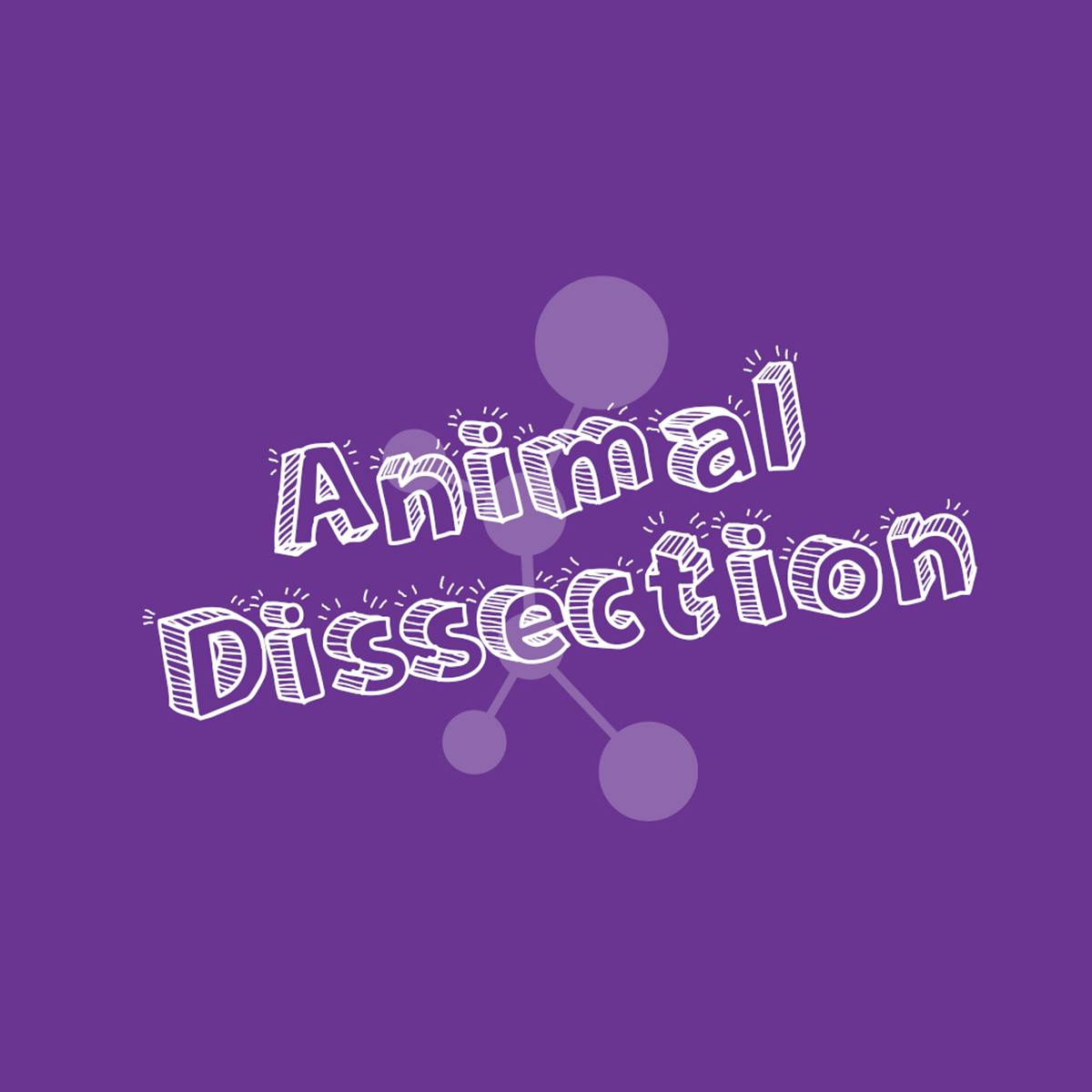The words Animal Dissection in white on a purple background