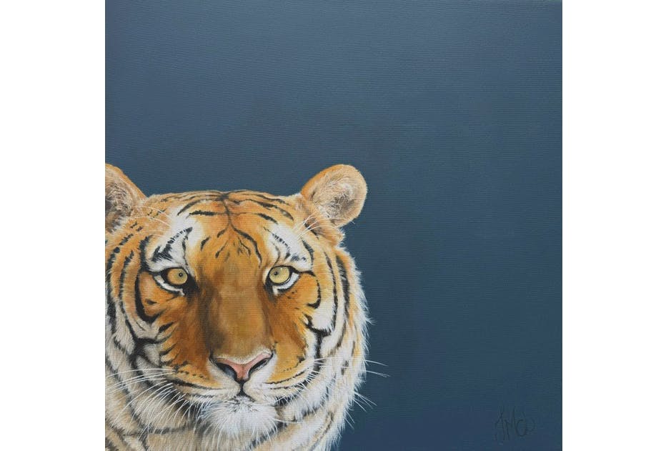 A realistic painting of tiger with a dark grey blue background