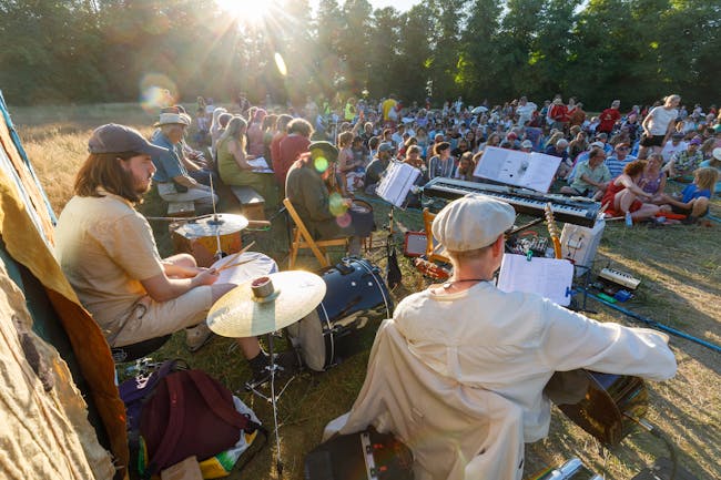 A group of musicians play in a sunny field, with a large crowd in front of them seated on the grass.