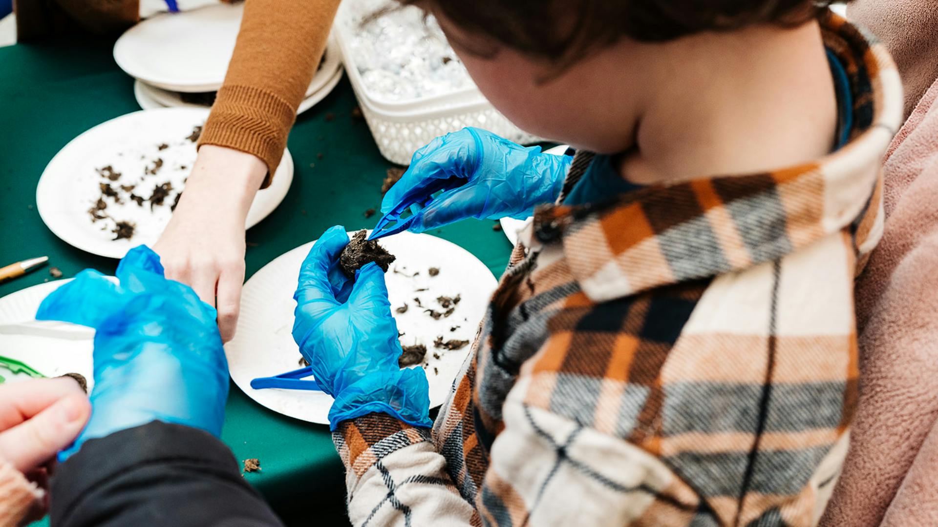 A child attends a workshop exploring farming, DNA and soil health at Norwich Science Festival