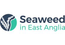 Seaweed in East Anglia